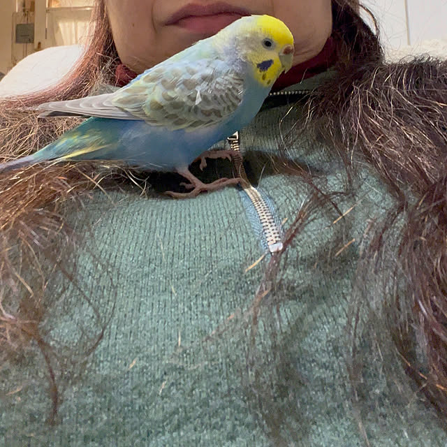 Atsukoさんの部屋