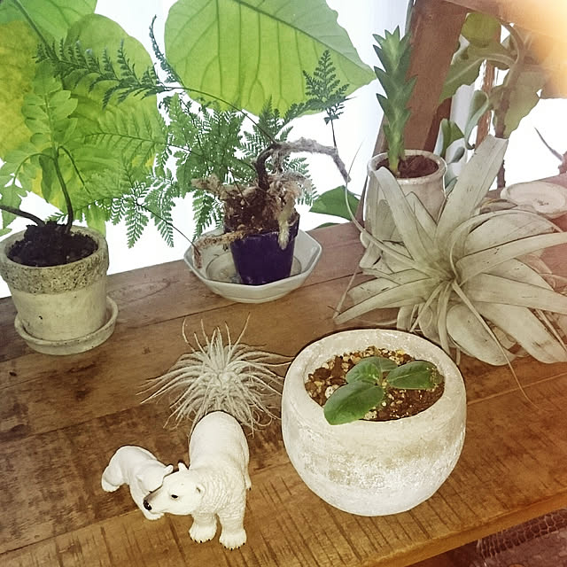 takenさんの実例写真