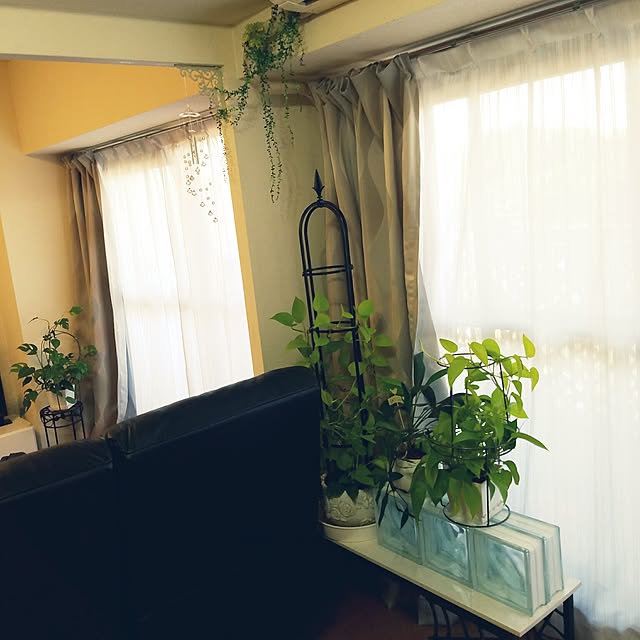 hebi-ichigoさんの実例写真