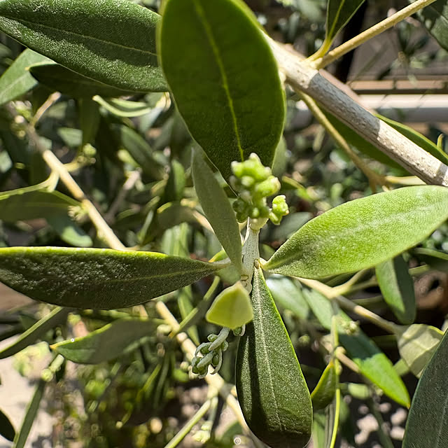 up0524さんの部屋