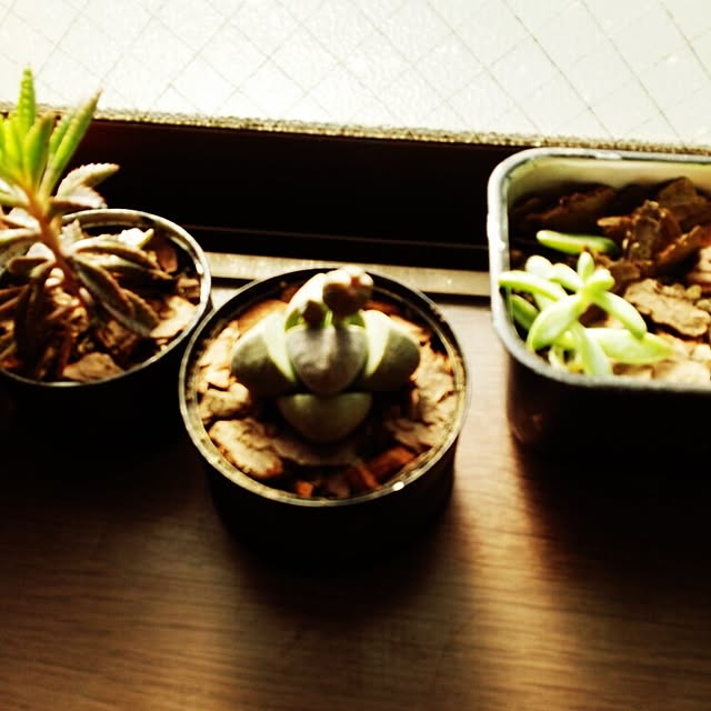 kamechanさんの実例写真