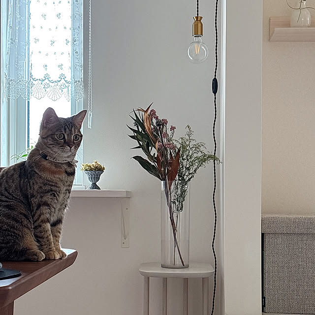 miyu39さんの部屋