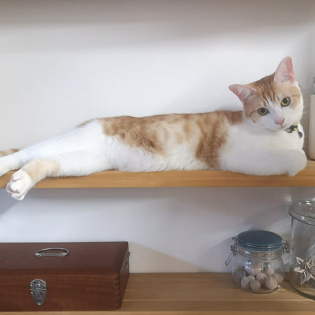 koyurizuさんの実例写真