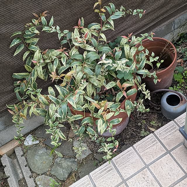 mori_6_12さんの部屋