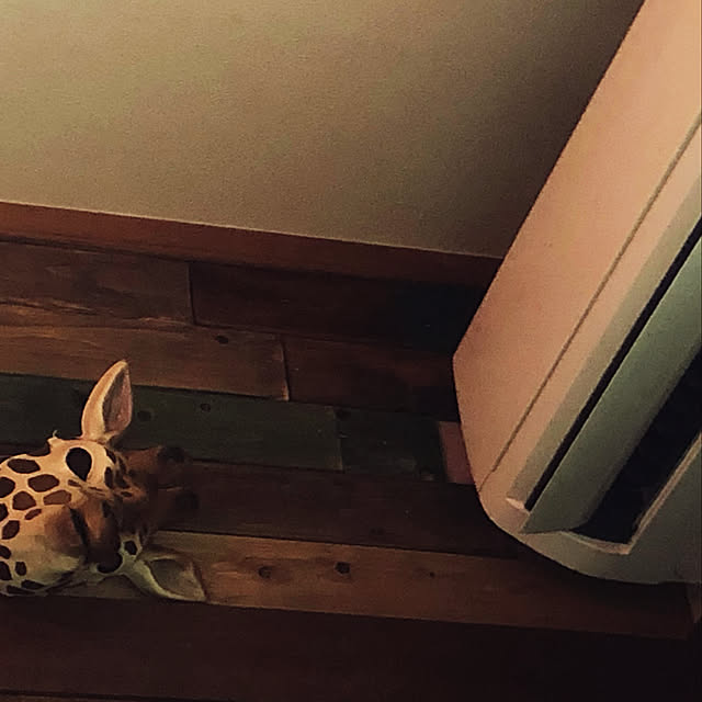 kanakoyoneさんの実例写真
