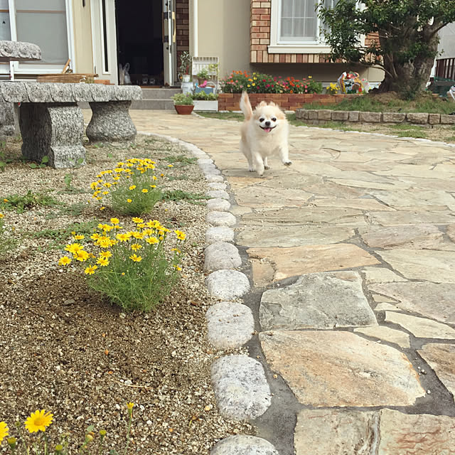 ponさんの実例写真