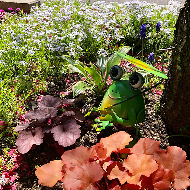 dreamさんの実例写真