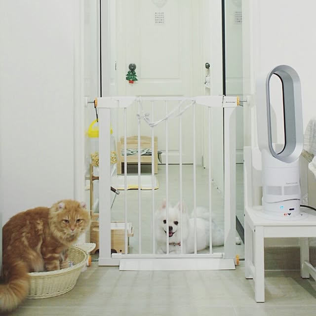 Belleさんの実例写真