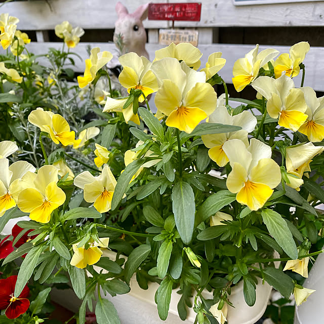 YuuKoさんの部屋