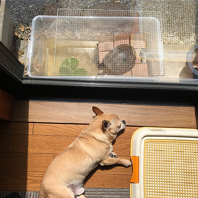 ebihara0720さんの実例写真