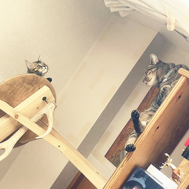 Mさんの部屋