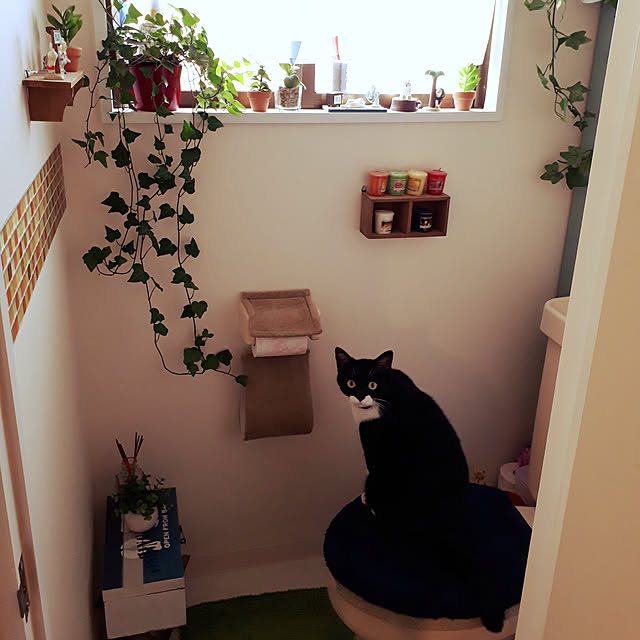 Umeko.さんの実例写真