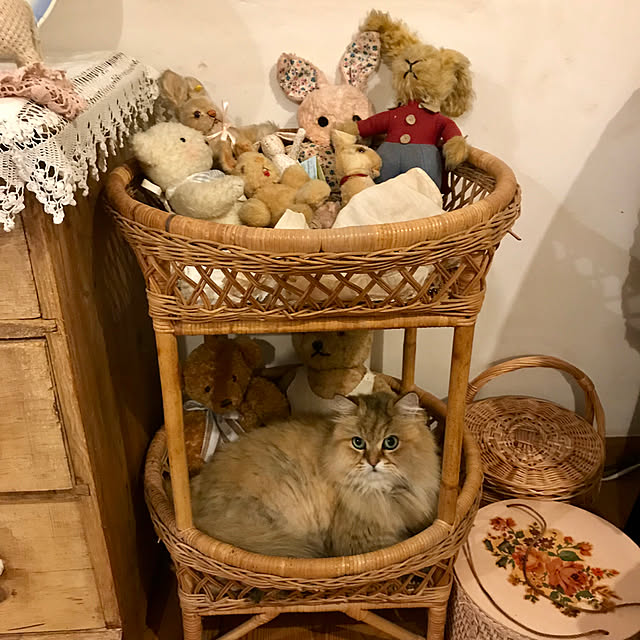 teddyさんの実例写真