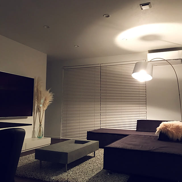 観葉植物/照明/リビングのインテリア実例 - 2020-02-15 02:34:20