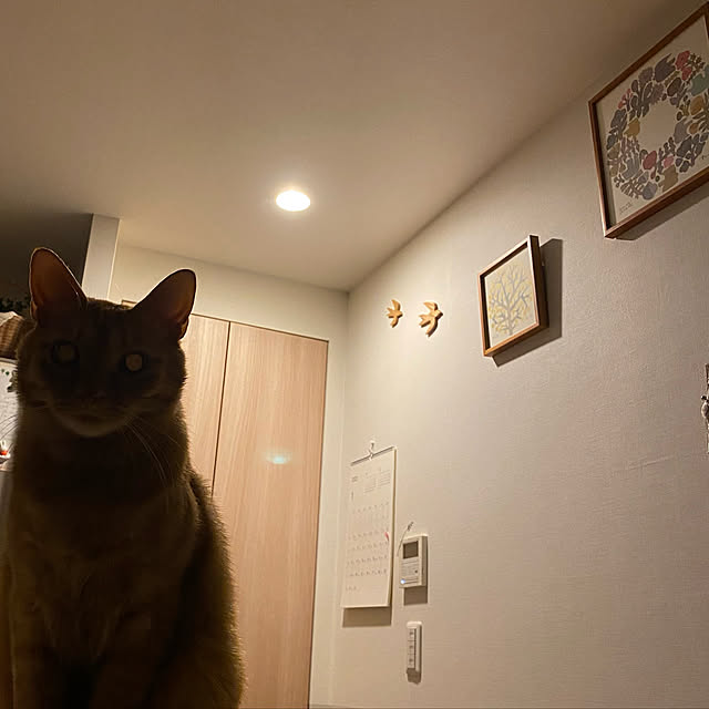 naturalさんの実例写真
