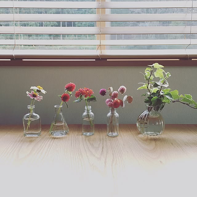 misakiさんの実例写真