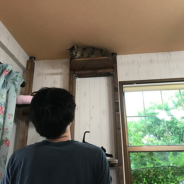 pepeさんの実例写真