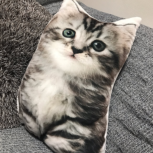 ROKOさんの実例写真