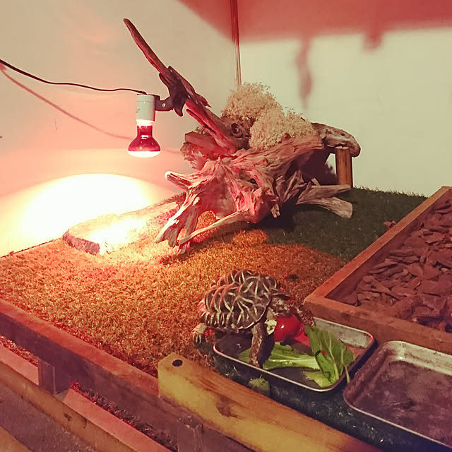 sashimiさんの実例写真
