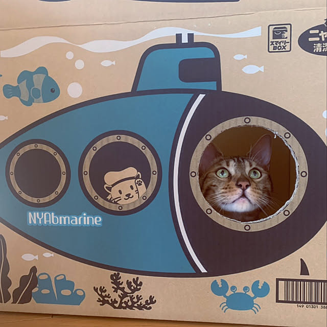 yuzuaoさんの実例写真