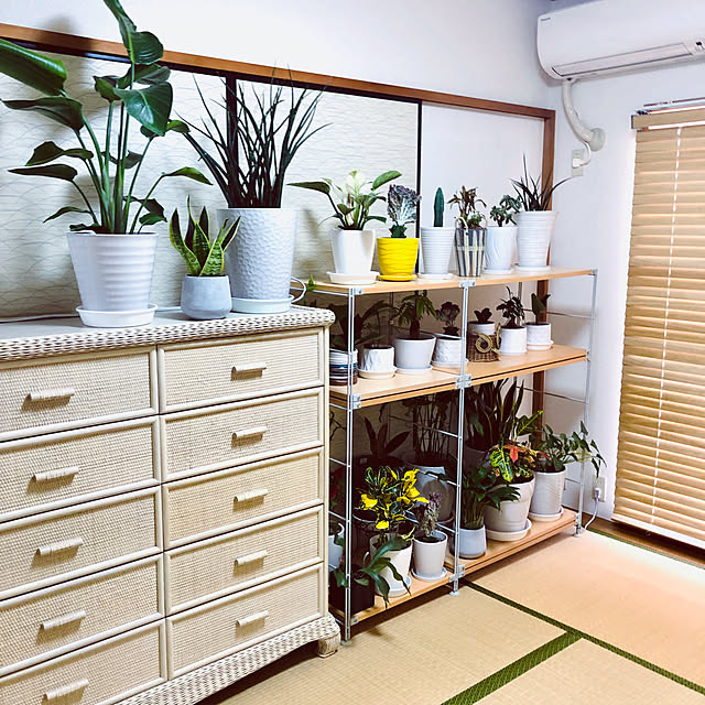 hanachanさんの部屋