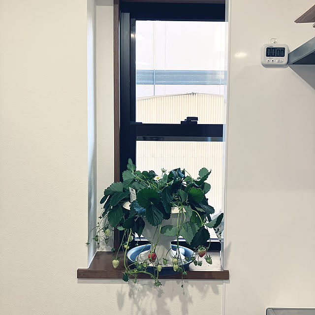 ant1040さんの実例写真