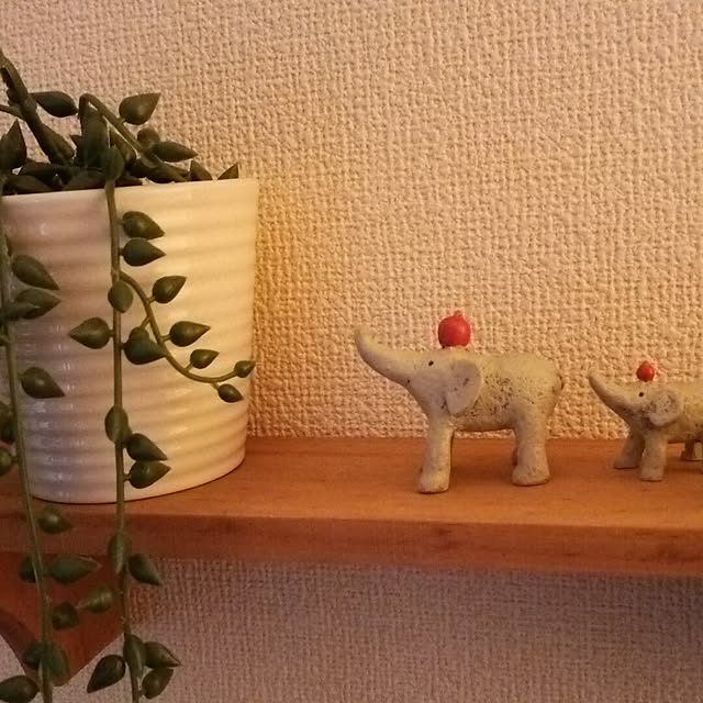 akiさんの実例写真
