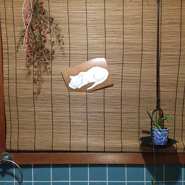 okisibasadaさんの実例写真