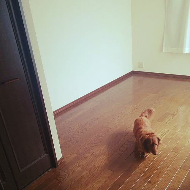 satoさんの実例写真