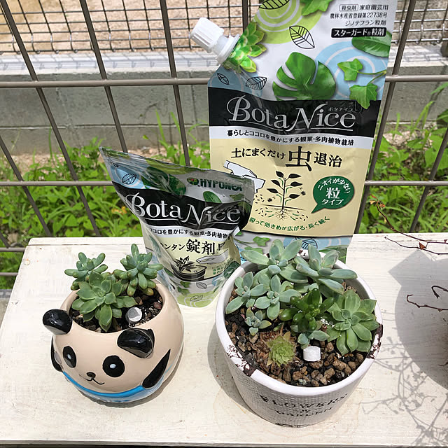 mimi.mocchiさんの実例写真