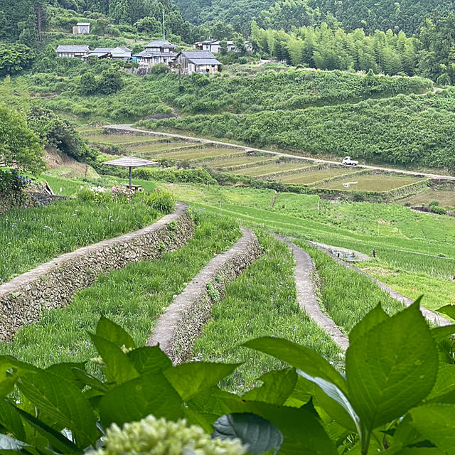 実例写真