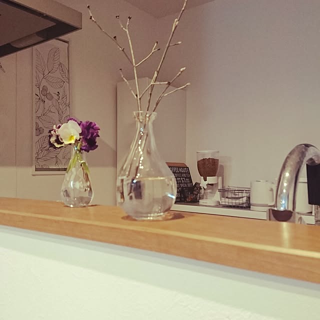 キッチン/IKEAのインテリア実例 - 2017-01-26 21:08:23