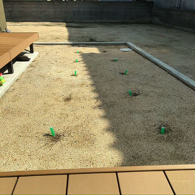 urotanさんの実例写真