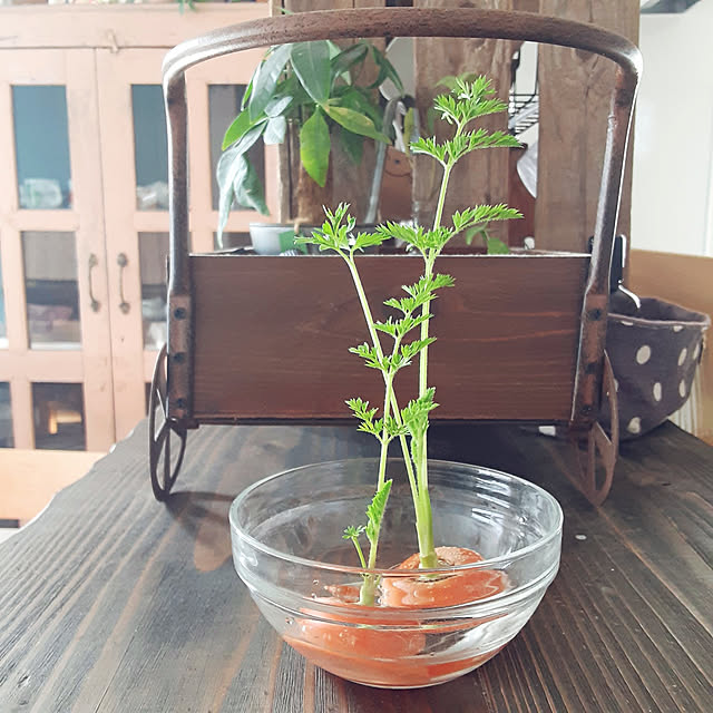 soaさんの実例写真