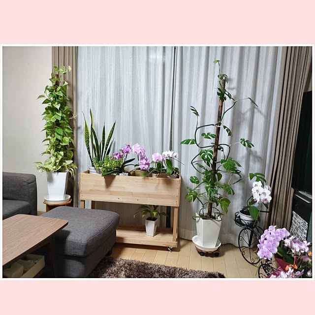 akiwaka-roomさんの実例写真
