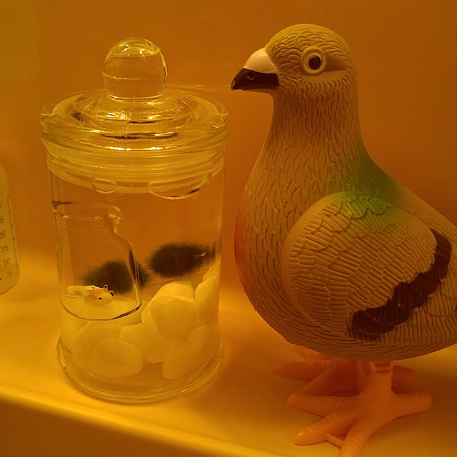 Mariさんの実例写真