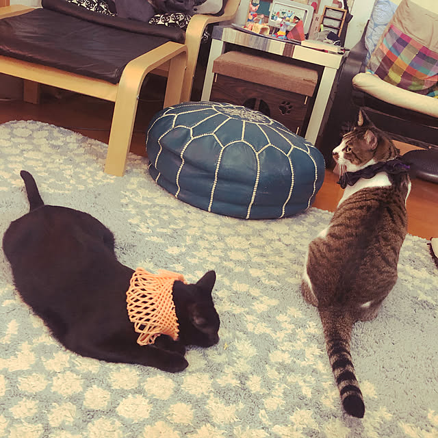 jijiさんの実例写真