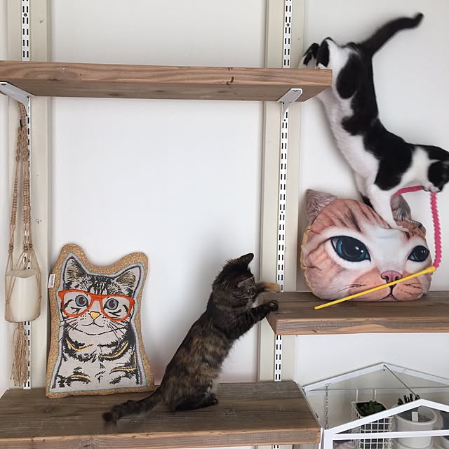 mikomaruさんの実例写真