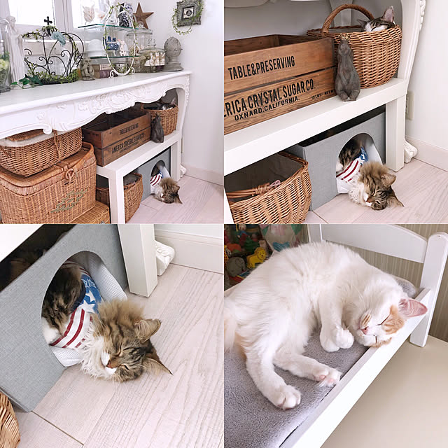 yuchiさんの実例写真