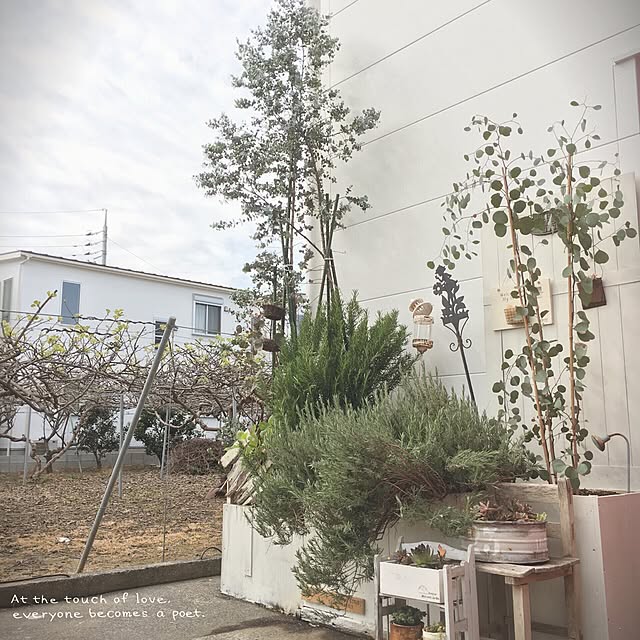 tomoさんの実例写真