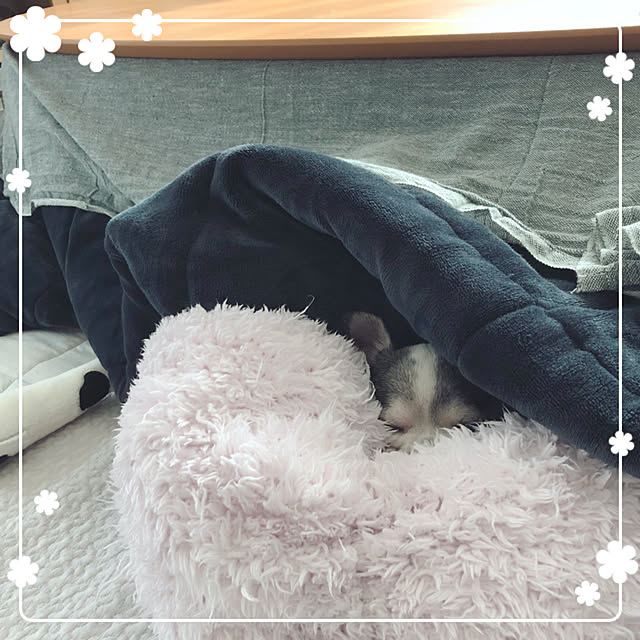 Emiさんの実例写真
