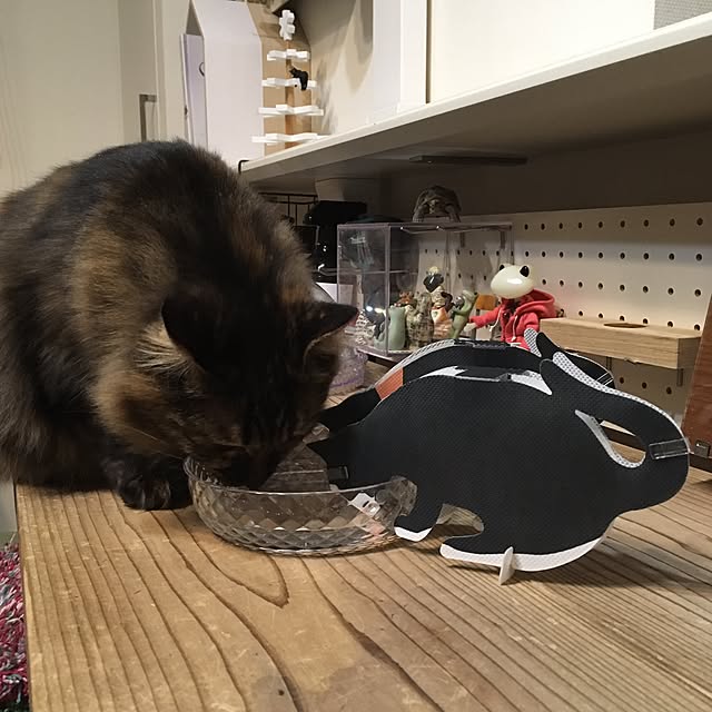 mikomaruさんの実例写真