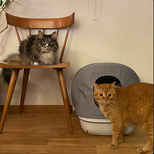 Hisashiさんの実例写真