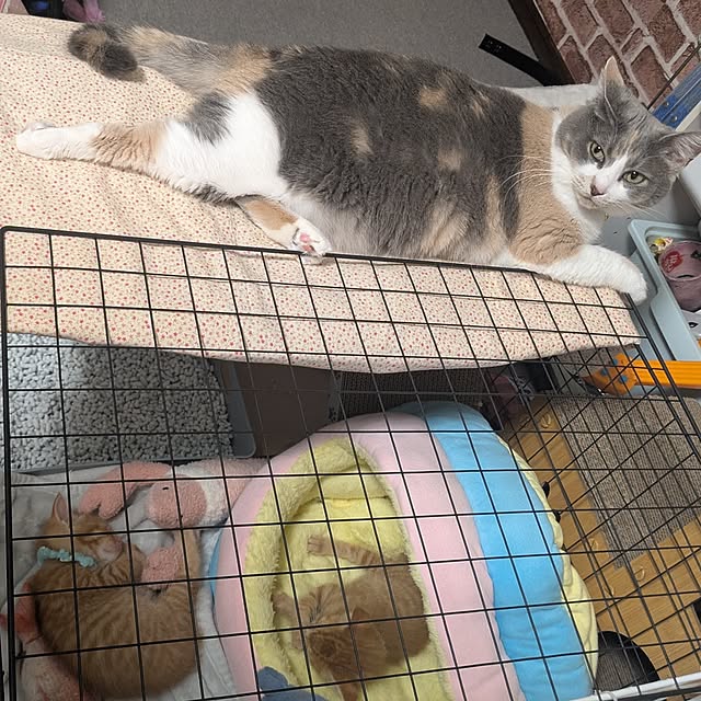 sayaさんの実例写真