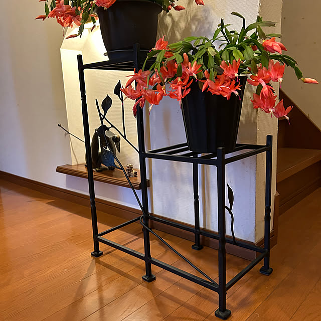 mayurin55さんの実例写真