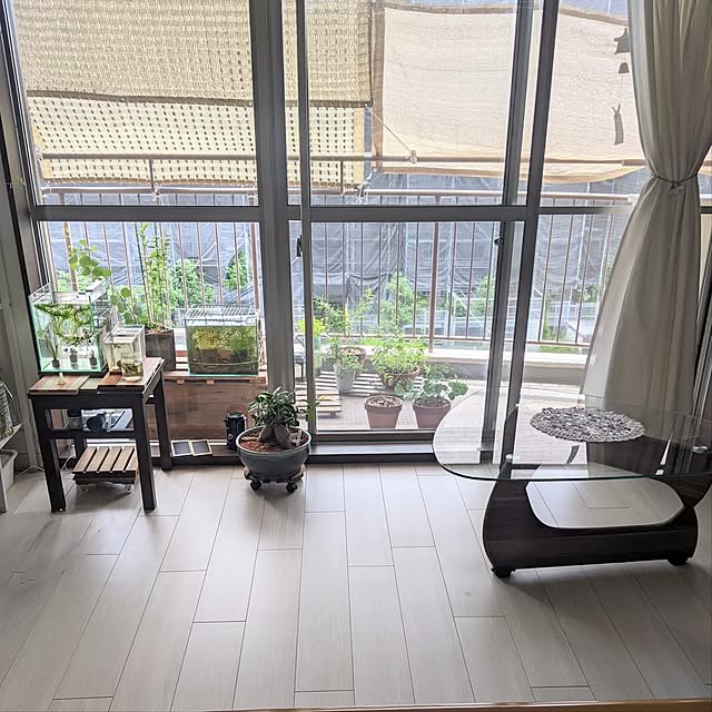 mi-saさんの部屋