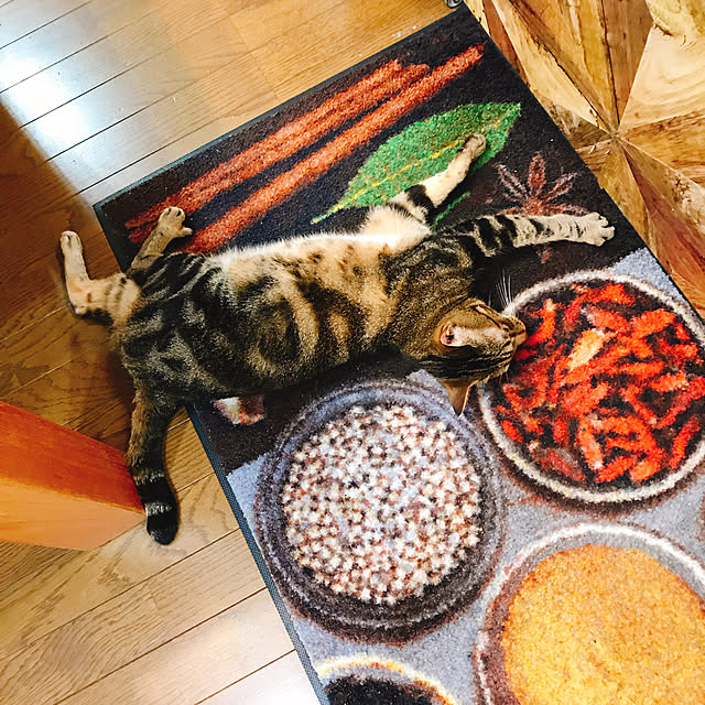pepeさんの実例写真