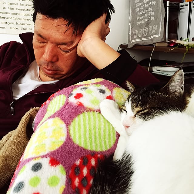 minkokoさんの実例写真