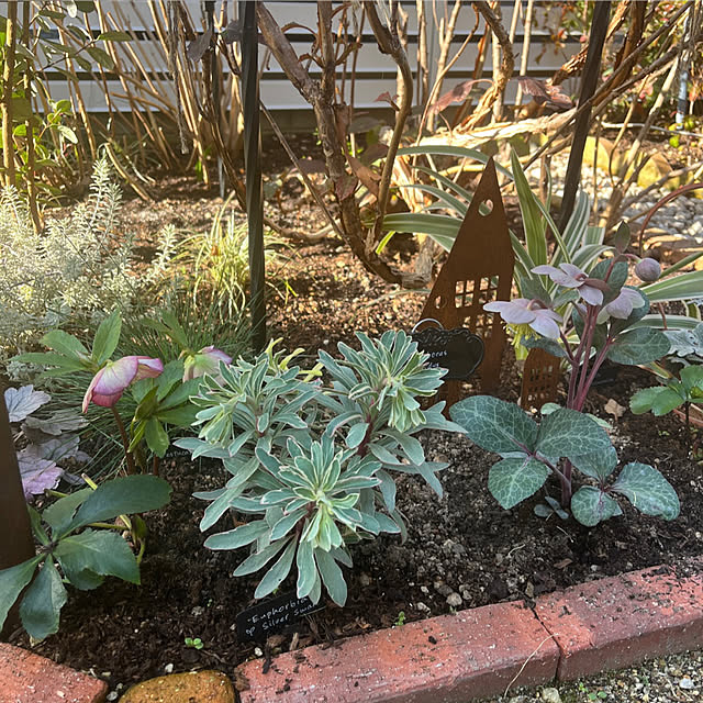 felicityさんの実例写真