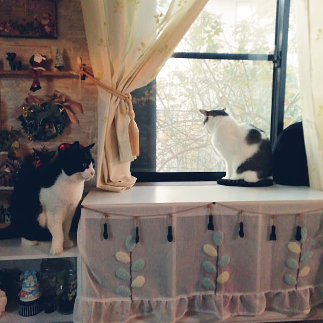 Tomopさんの実例写真